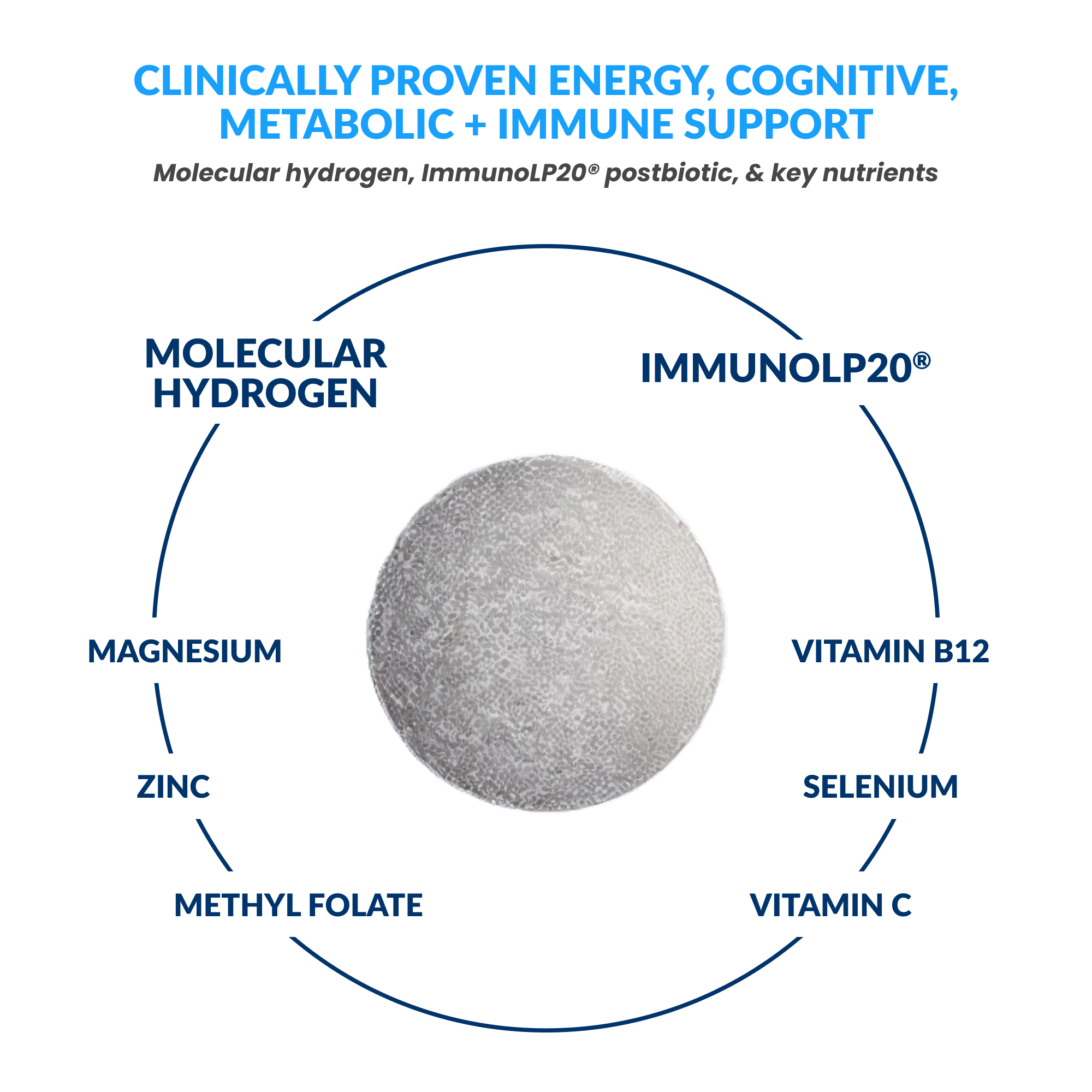 HARMONY+  | H2 Immune Postbiotics & Micronutrients