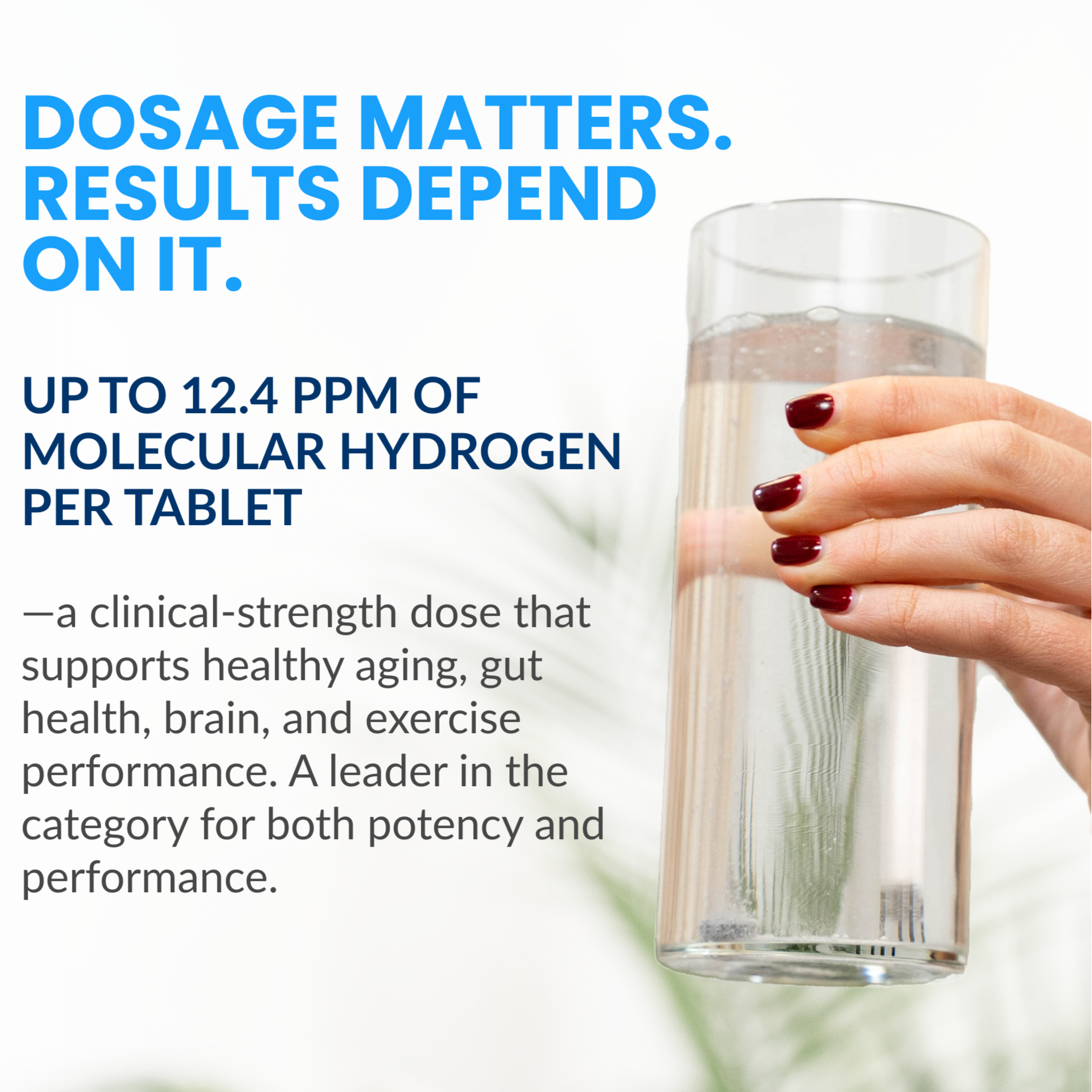 HARMONY+  | H2 Immune Postbiotics & Micronutrients